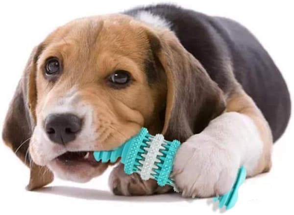 Hundleksak i form av ben, benformad hundleksak för tandrengöring, hundmatskål bitresistent mjukt hållbart gummi