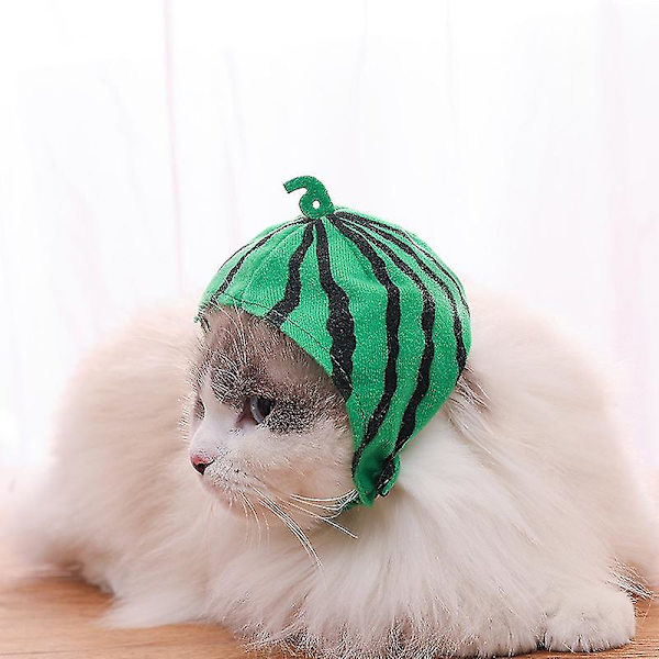 Kostym för kattkläder, kattkläder, liten hundkostym, husdjurskläder, Halloween Cosplay
