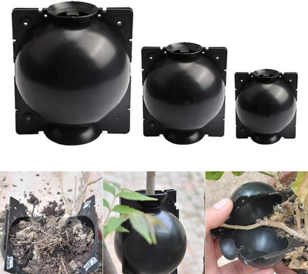 Rotningsboll för växter, 5 st, rotningsenhet för växter, sticklingar, högt tryck, rotningsbollbox för förökning