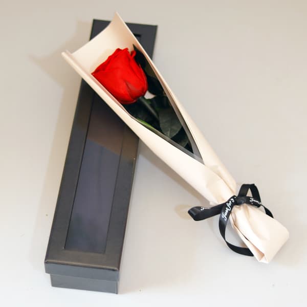Søblå konserverede roser, perfekte til Valentinsdag eller Mors Dag.