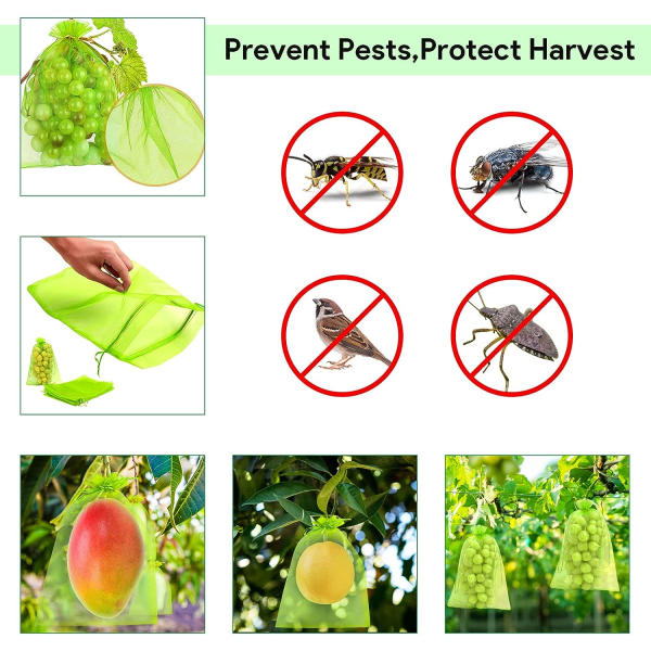 Frugtbeskyttelsespose 60 stykker, vindruebeskyttelsespose 20x 30cm Haveorganzapose med snøre mod hveps Drosophila Beetle Birds (Mosgrøn)