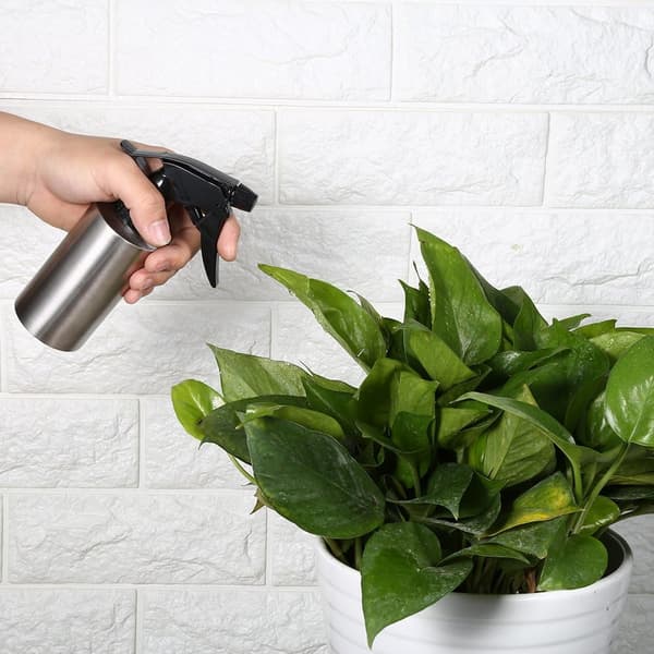 304 Rostfritt Stål Handtryck Vattenkanna Multifunktionell Pump Tryck Trädgård Växt Vattenkanna (250ML)