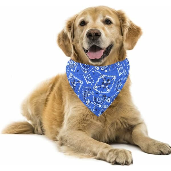 Moderigtig Hunde Bandana Justerbart Tørklæde til Hvalpekat (Blå)