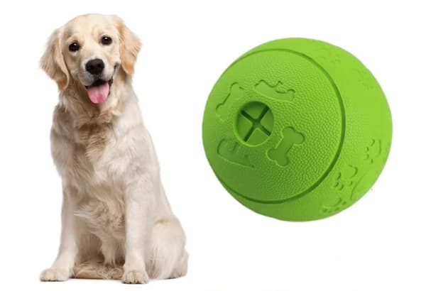 Hundleksaksboll hundgodisboll leksak sällskapshund med bitresistent gummifoderboll husdjursövning spel IQ träningsboll