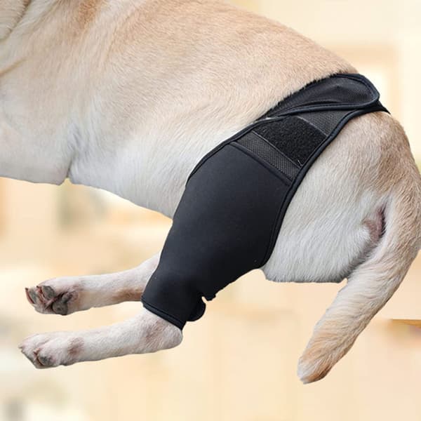 Forreste bagben støtteskinne til forstuvningsrestitution Hund lindrer smerte, S