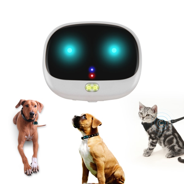 4G GPS-spårare för husdjur vattentätt halsband med bländande djurlokalisering med larm för lågt batteri, vit,