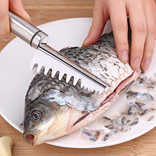 304 Rustfrit Stål Savtakket Fiskeskælsskraber - Sølv