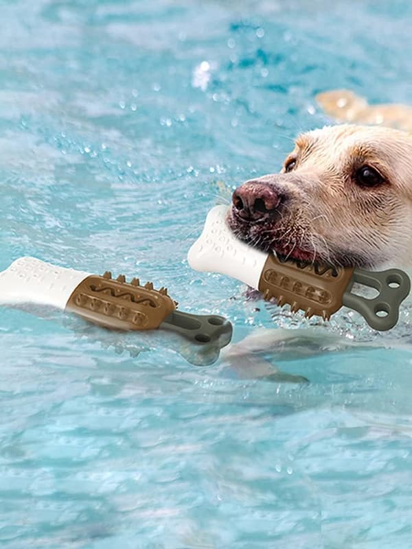 Kølelegetøj til kæledyr, modellegetøj til hundekøle-ispind, frosne kølemolarer (b)