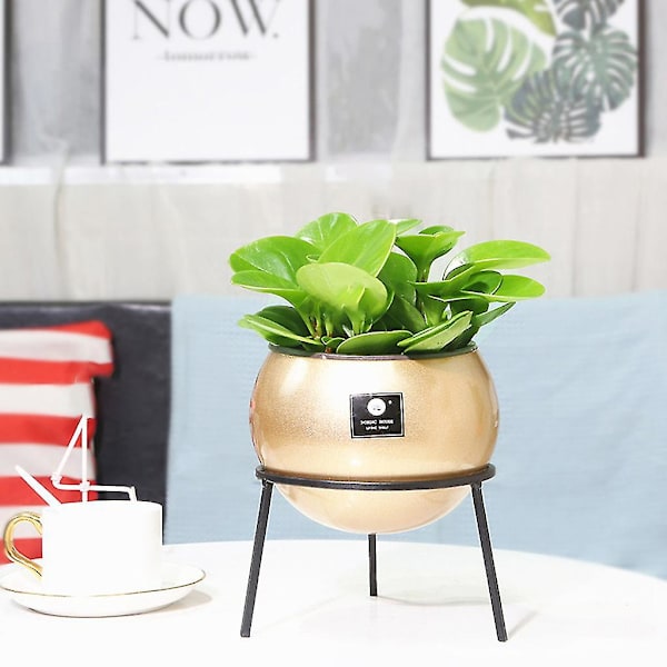 Rund vaseplanter med potteplante stativ moderne metal blomsterpotte indendørs sukkulente planter display rack have hjem indretning