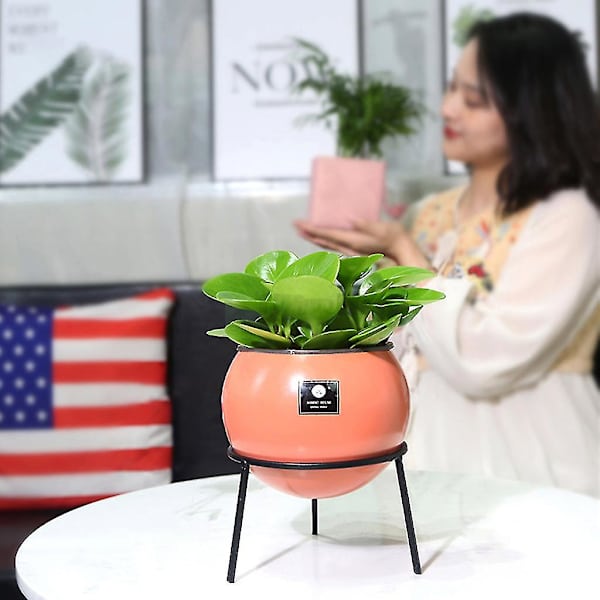 Rund vaseplanter med potteplante stativ moderne metall blomsterpotte innendørs sukkulente planter display rack hage hjem dekor