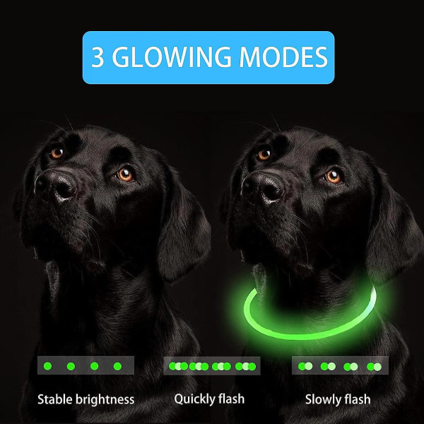 Usb genopladeligt lys-op blinkende hundehalsbånd Justerbar længde, afskærbar vandtæt blinkende halsbånd til hunde - 3 tilstande, til små mellemstore hunde (