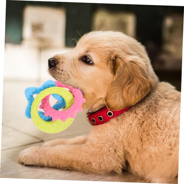 Teether Pacifier for Puppies & Small Dogs - Chew-Resistant Chew Toy Suitable for Teething, Durable Puppy Teething Aid, Interactive Dog[YJD] 1pc