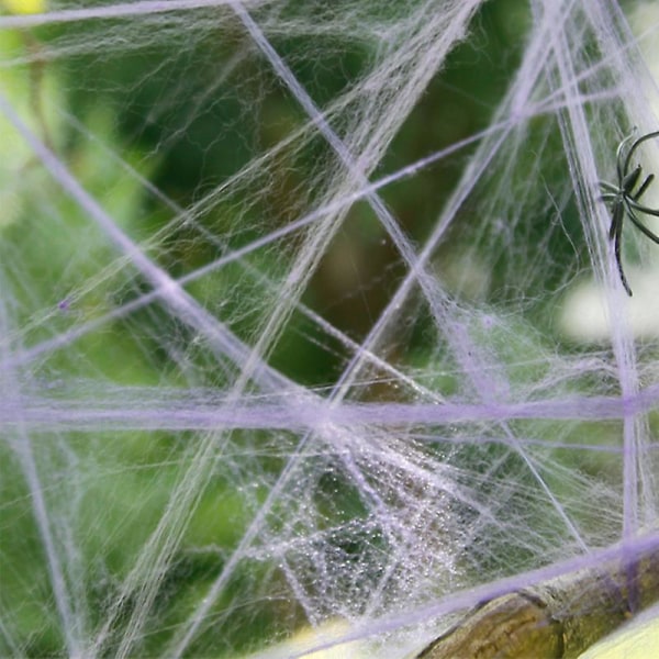 Halloween hämähäkkiverkko ja 2 hämähäkkijuhlien kodin sisustusta White