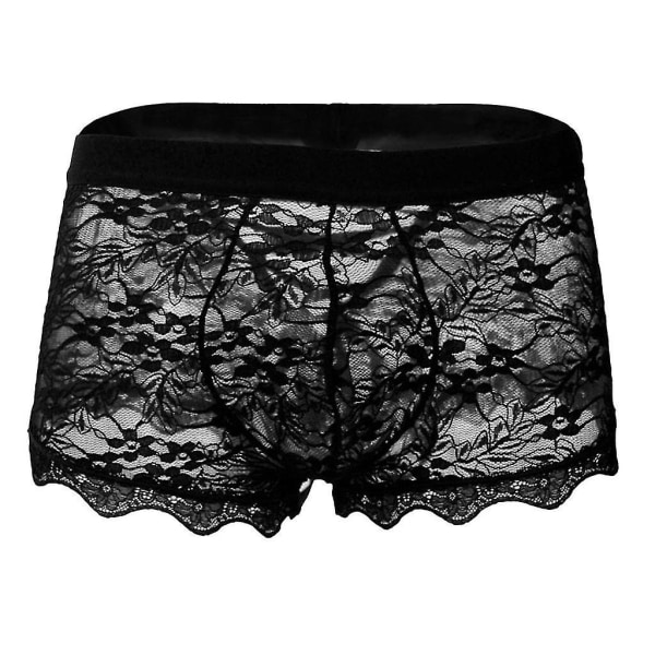 Mäns Underkläder Spets Transparent Mesh Låg Midja Boyshort