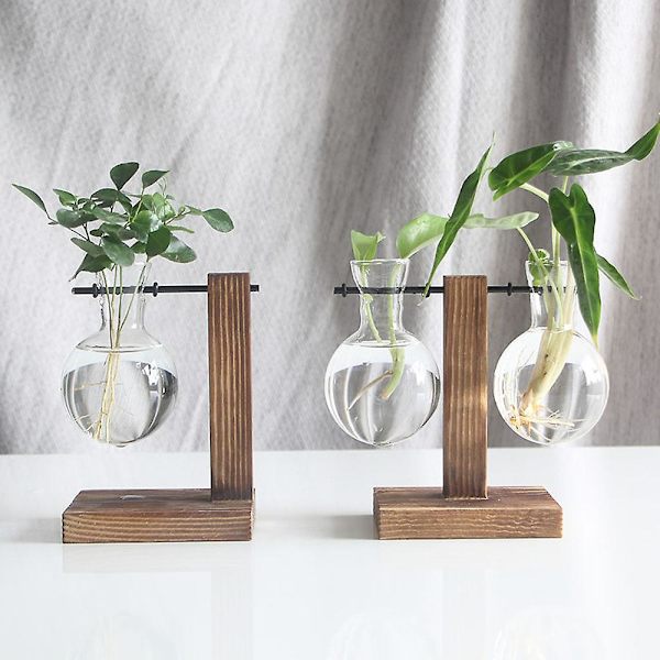 Spara 30 % Skrivbord Glas Planter Glödlampa Vas Glödlampa Växt Terrarium Retro Massivt Trä Stativ AU Wood A3