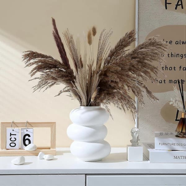 Modern Cirkel Keramisk Blomvas Vit för Pampas Heminredning