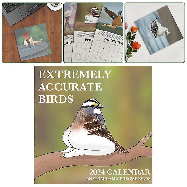 2024 Kalender med ekstremt nøyaktige fugler 2024 Fuglekalender Veggkalender dekorasjonsplakat-29x29cm