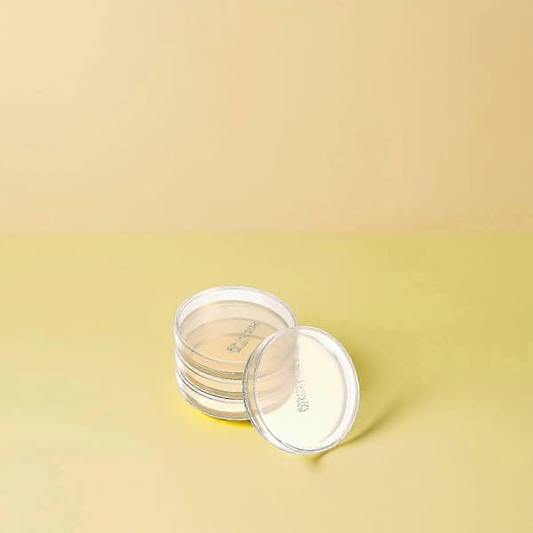 Agarplattor Petriskålar Kit för laboratorieexperiment 30 delar 7CX7cm Transparent