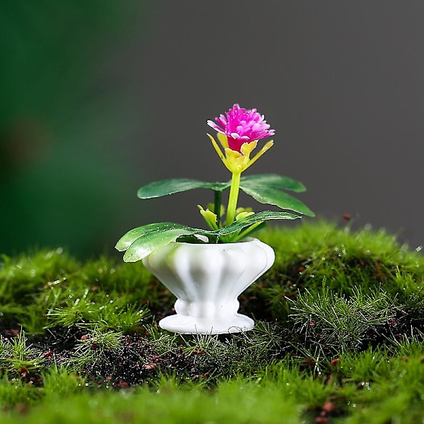 4 st Miniatyr Krukväxter Bonsai Dekor Mikro Landskaps Dekor Dockhus Tillbehör