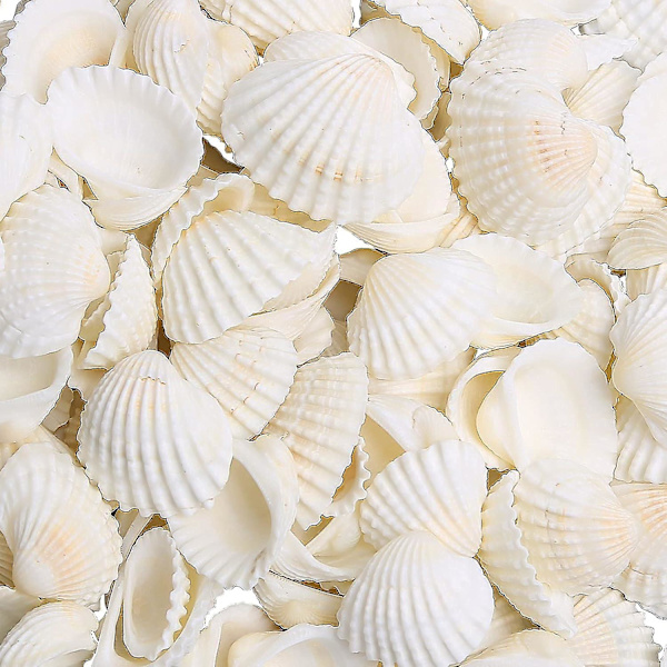 Små hamskaller til dekoration, 330g 140~160stk Bulk Tiny Seashells til håndværk 1/2\" - 1 1/4\", naturlige kammuslingeskaller til håndværk, boligindretning vase Fi
