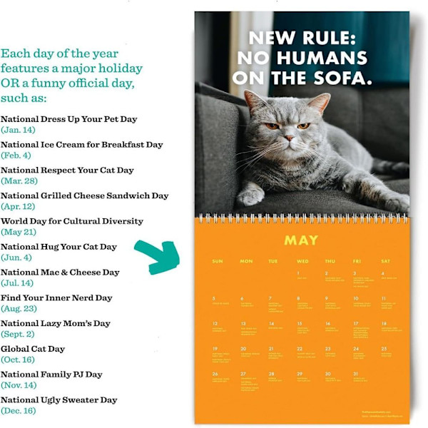 2024 Pissed-Off Cats Calendar Väggkalender Hängkalender