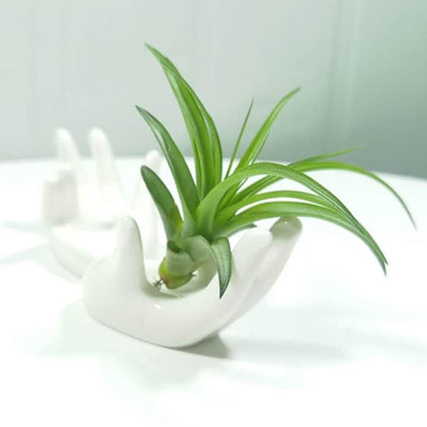 3 st keramiska mini handformade luftväxt hållare tekopp stativ hem Tillandsia ställ
