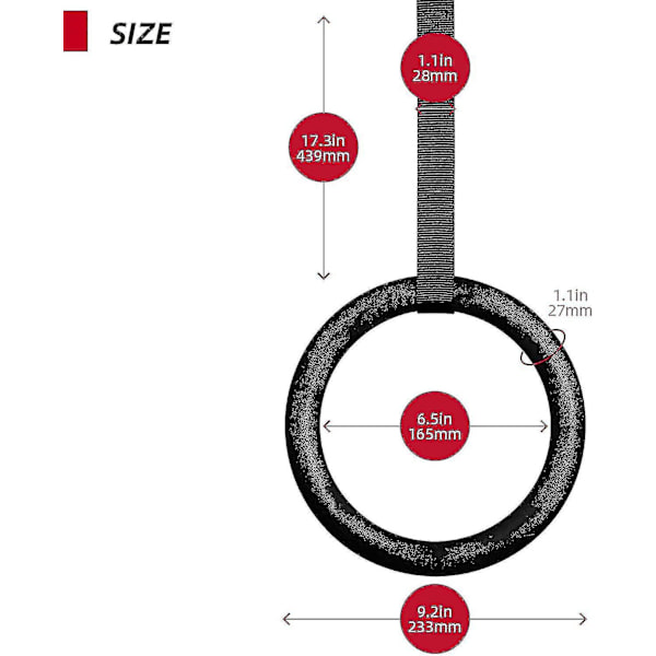 Voimistelu renkaat - Olympialaiset voimistelu renkaat - Säädettävillä nylon nauhoilla - 23mm kuorma - 400kg - Ulko- ja sisätiloihin - Kuntoiluun - Ripustusvahvuus