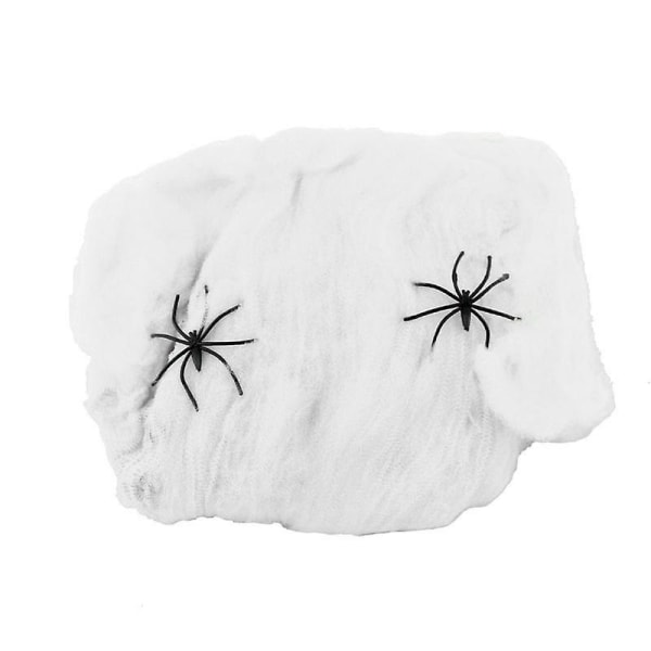 Halloween Edderkoppespind Med 2 Edderkopper Til Festlig Hjemmeindretning White