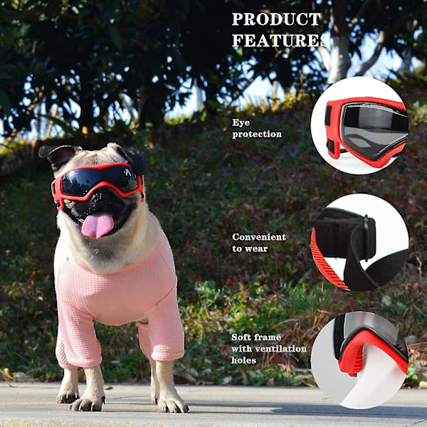 Hunde Goggles for små hunderaser Solbriller, enkle å bruke hunde UV-solbriller for små/mellomstore valper Red