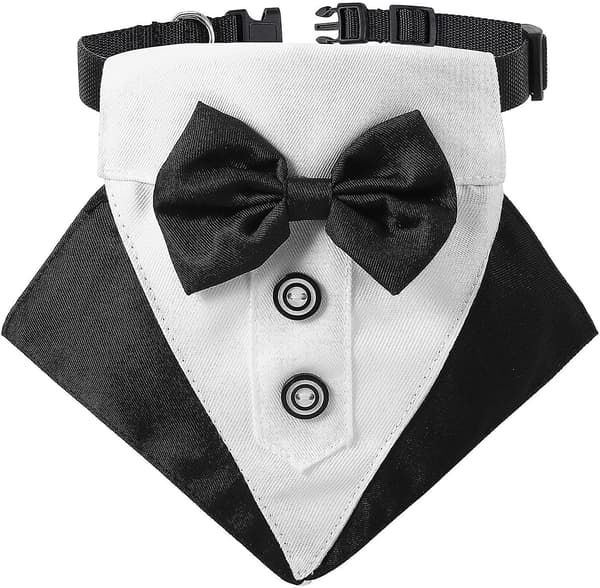 Hundeslips med sløyfe til bryllup Black S