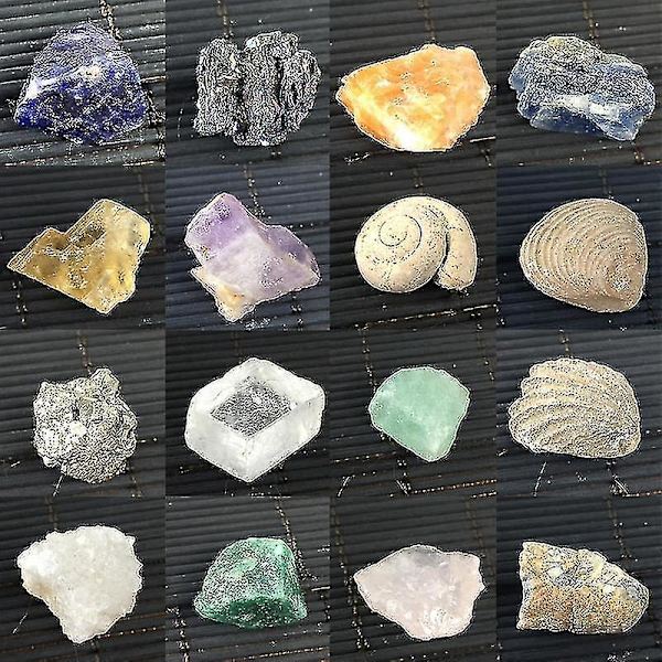 Rocks And Minerals Collection Rock Science Kit 20 Pcs Crystals Geosciences Industries Classroom