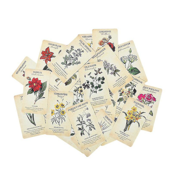 44 st Wizard Tarot-kortlek baserad lek engelsk version spel leksak spådom förmögenhetsspel