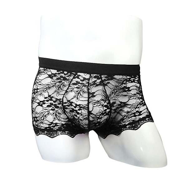 Mäns Underkläder Spets Transparent Mesh Låg Midja Boyshort