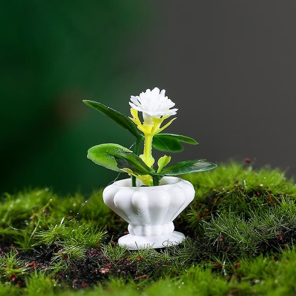4 stk. Potteplanter Miniaturer Bonsai Dekoration Mikro Landskab Dekorationer Dukkehus Tilbehør