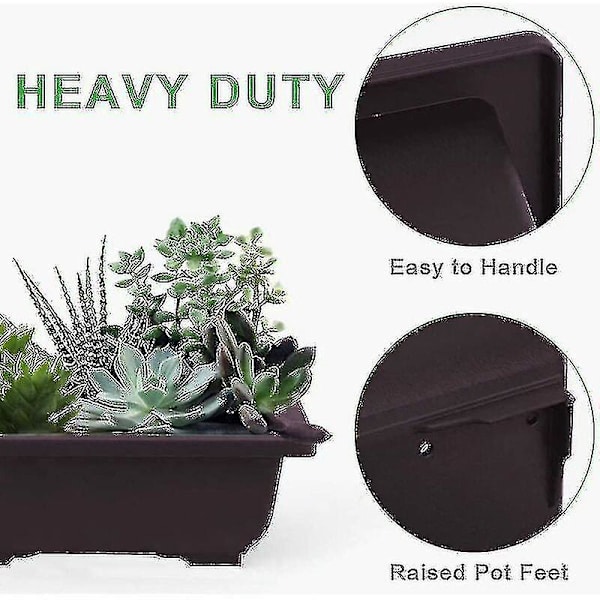 10 stk Bonsai-treningskrukker med plastbrett Bonsai-planter Voksende potte, Bonsai-treningskrukke, Blomstersukkulente Bonsai-potter Blomsterdyrkingsbeholder for