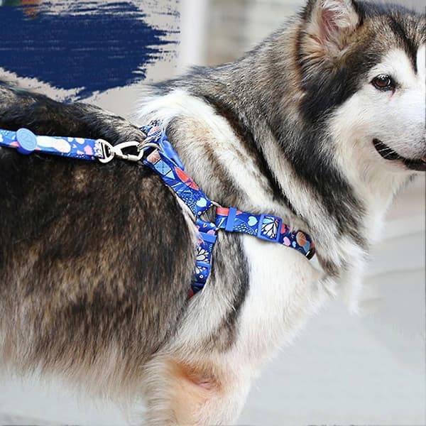 Väst Bröstrem Explosionssäker Justerbar Polyester Promenadhund Säkerhetskoppel För Valp Pink M
