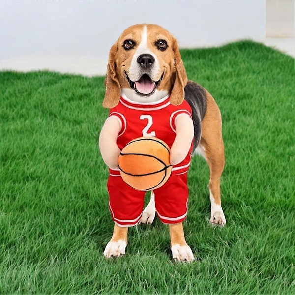 Basketbollshundkostym för Daglig Personlig Festivalfestkläder för Små och Mellanstora Hundar Red M