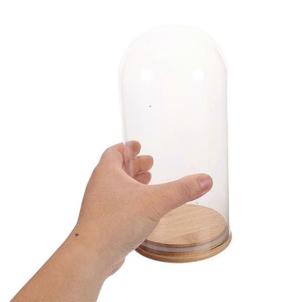 Glaskupol med bas för visning Klar transparent kupol med bambubas