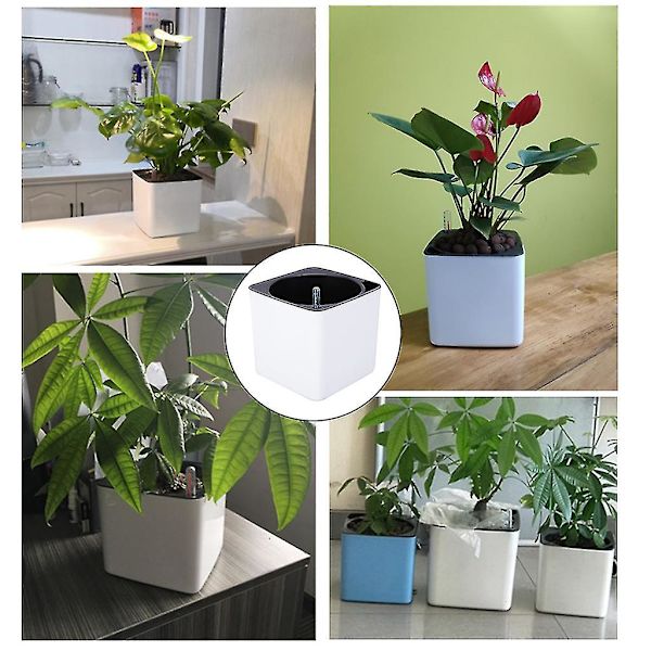 Havehave Blomsterpot Selvvanding Sukkulenter Plante Starter Med Vandstandsindikator Indendørs Udendørs Dekoration Moderne Kontor Baghave Dekor