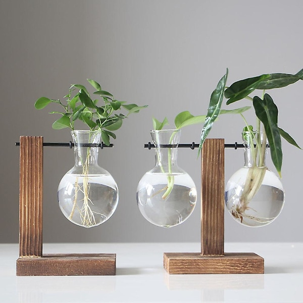 Spara 30 % Skrivbord Glas Planter Glödlampa Vas Glödlampa Växt Terrarium Retro Massivt Trä Stativ AU Wood A3