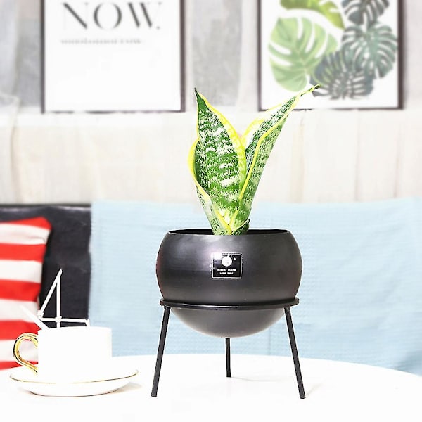 Rund vaseplanter med potteplante stativ moderne metall blomsterpotte innendørs sukkulente planter display rack hage hjem dekor