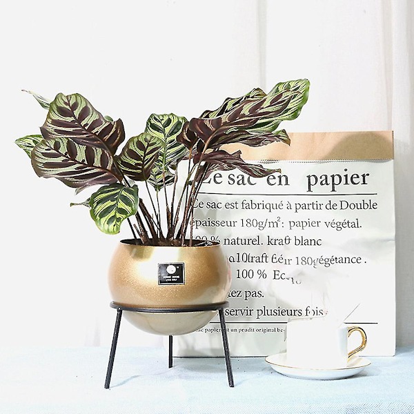 Rund vaseplanter med potteplante stativ moderne metall blomsterpotte innendørs sukkulente planter display rack hage hjem dekor