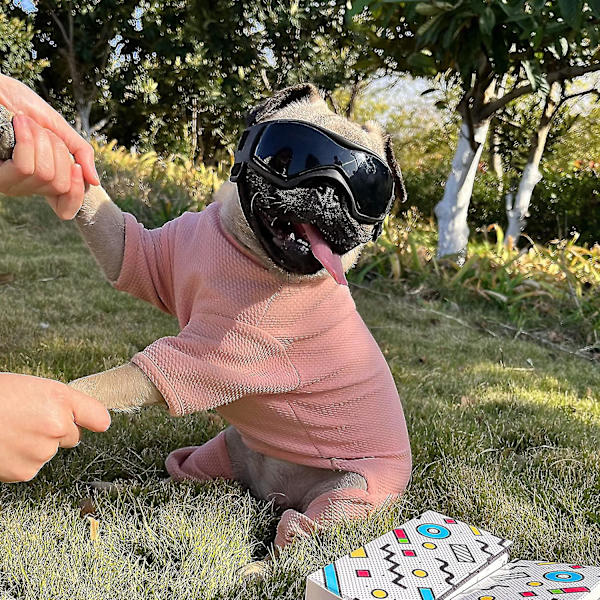 Hunde Goggles for små hunderaser Solbriller, Easy Wear Dog Uv Solbriller for små/mellomstore valper Black