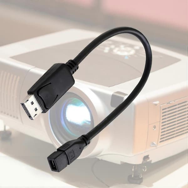 Bærbar Mini DisplayPort til Thunderbolt 2 Han til Hun DP Konverter Adapter