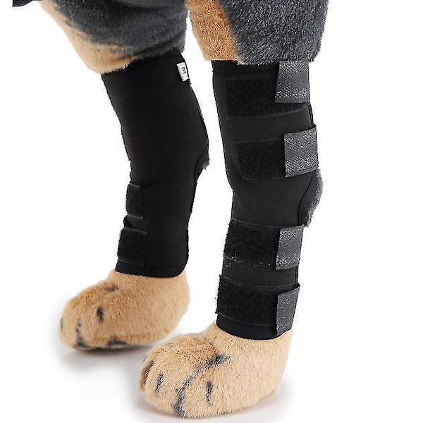 Hunde-brudsplint Beskyttelsesboks Ortopædisk Gendannelse Ledbåndage For- og Bagbenbeskytter