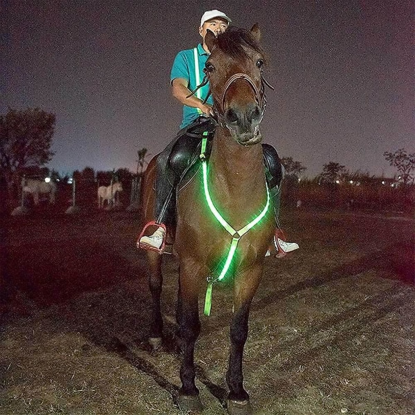 Sele Hest Webbing Led-lys Nattsikkerhetsbelte Hesteutstyr Green
