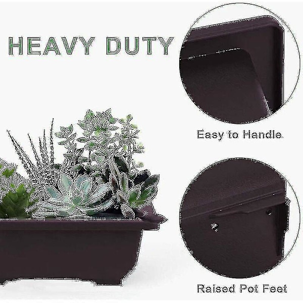 10 stk Bonsai-treningskrukker med plastbrett Bonsai-planter Voksende potte, Bonsai-treningskrukke, Blomstersukkulente Bonsai-potter Blomsterdyrkingsbeholder for