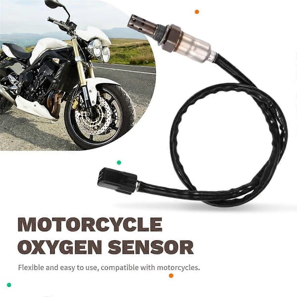 Motorcykel Oxygen Sensor T2204191 til Street Triple 2008 As Shown