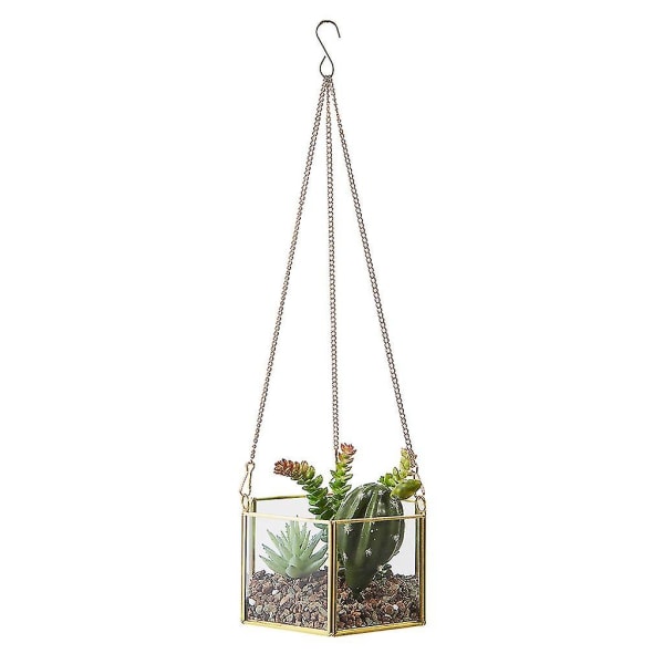 Moderne hængende glas terrarium geometrisk sekskant formet sukkulent luft planteholder beholder vægplanter blomsterpotte