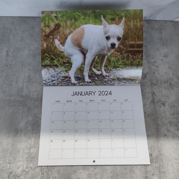 Ny ankomst 2024 Pooping Dogs Kalender, Hund Pooping I Vakre Steder Kalender, Hund Pooping Veggkalender For Hundeelskere